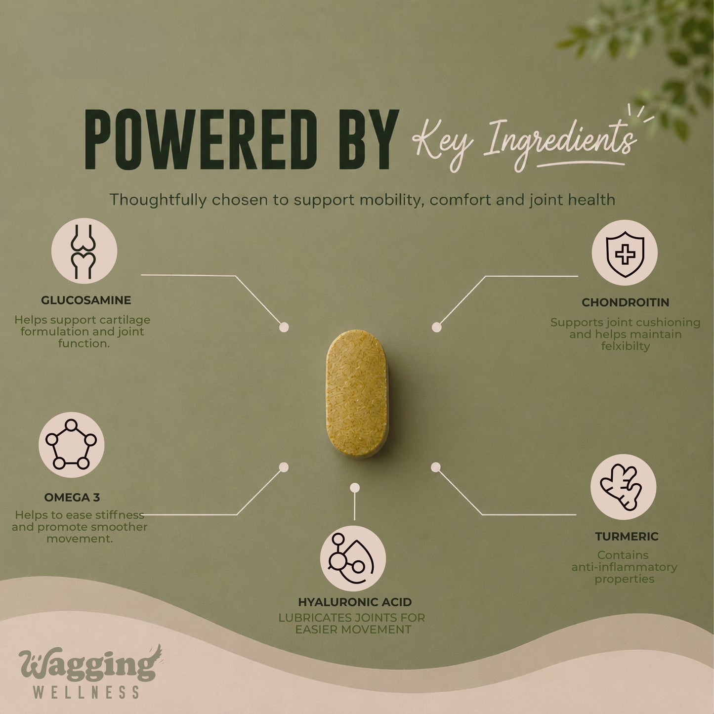 Pro Joint Support for Senior Dogs | Turmeric & Omega 3
