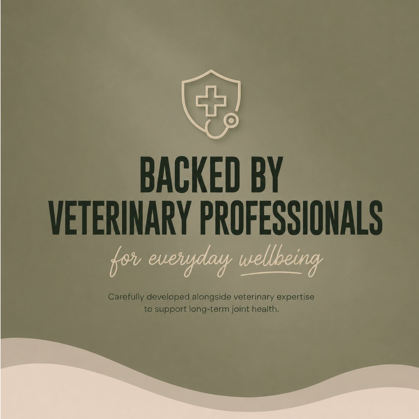 Pro Joint Support for Senior Dogs | Turmeric & Omega 3