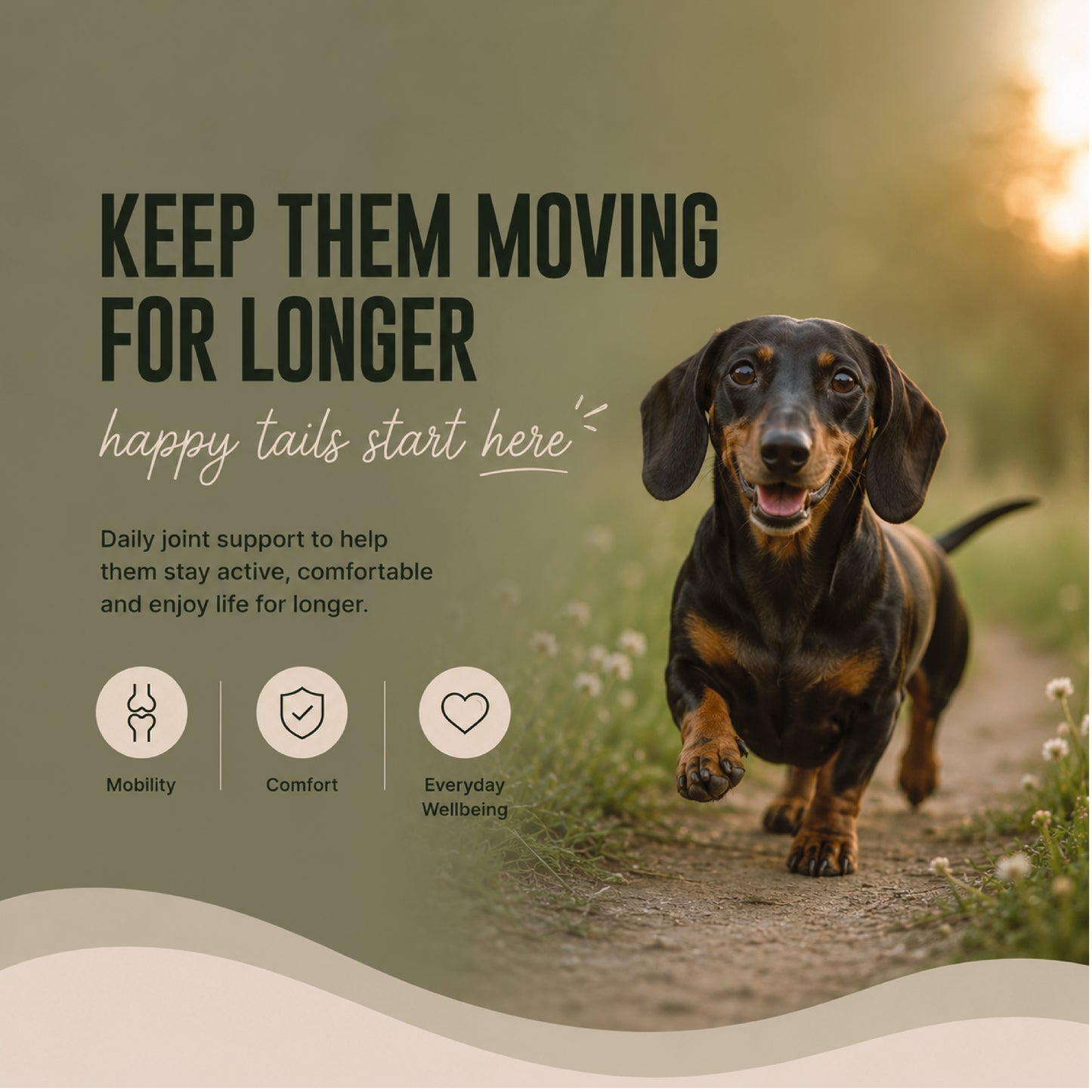 Pro Joint Support for Senior Dogs | Turmeric & Omega 3