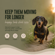 Pro Joint Support for Senior Dogs | Turmeric & Omega 3
