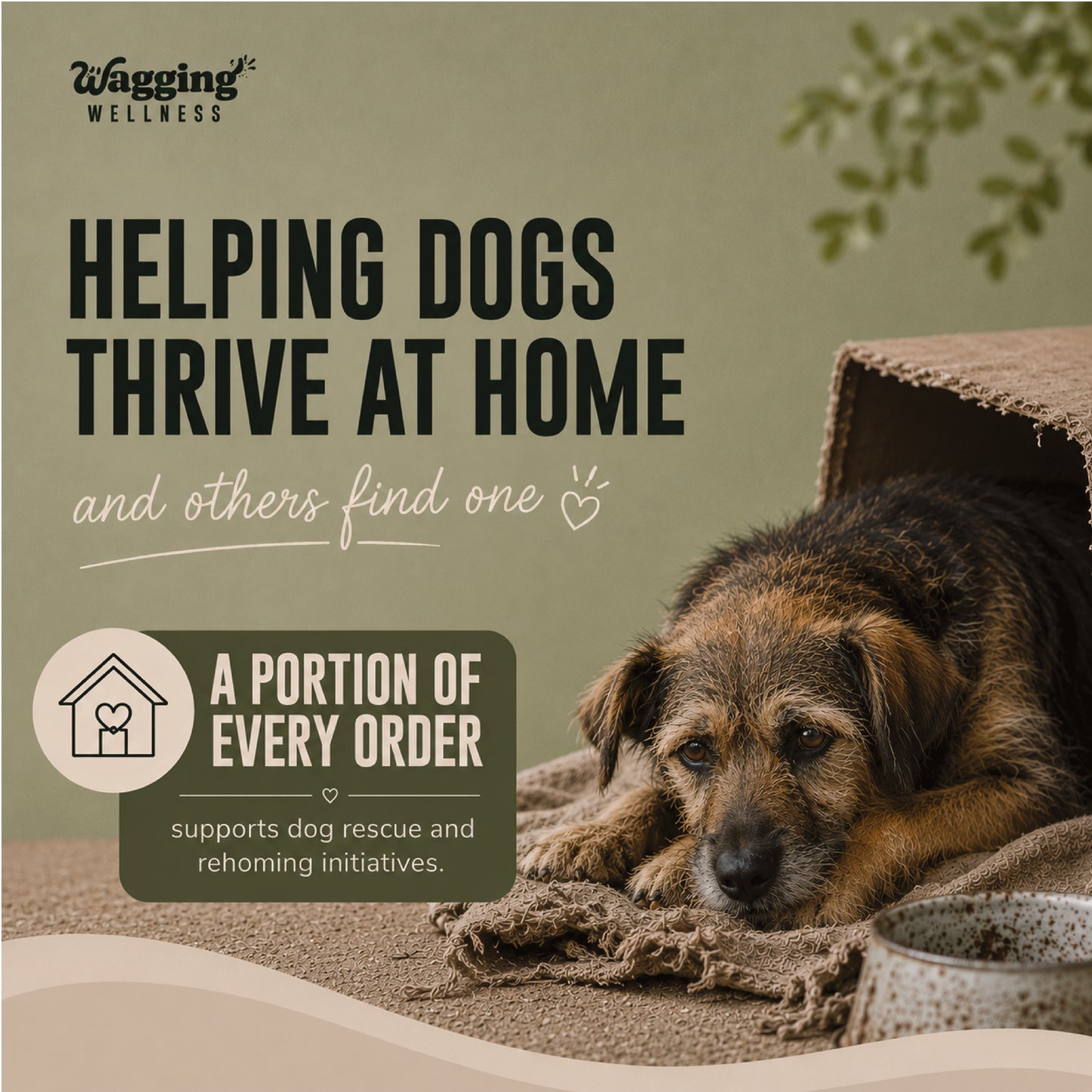 Pro Joint Support for Senior Dogs | Turmeric & Omega 3