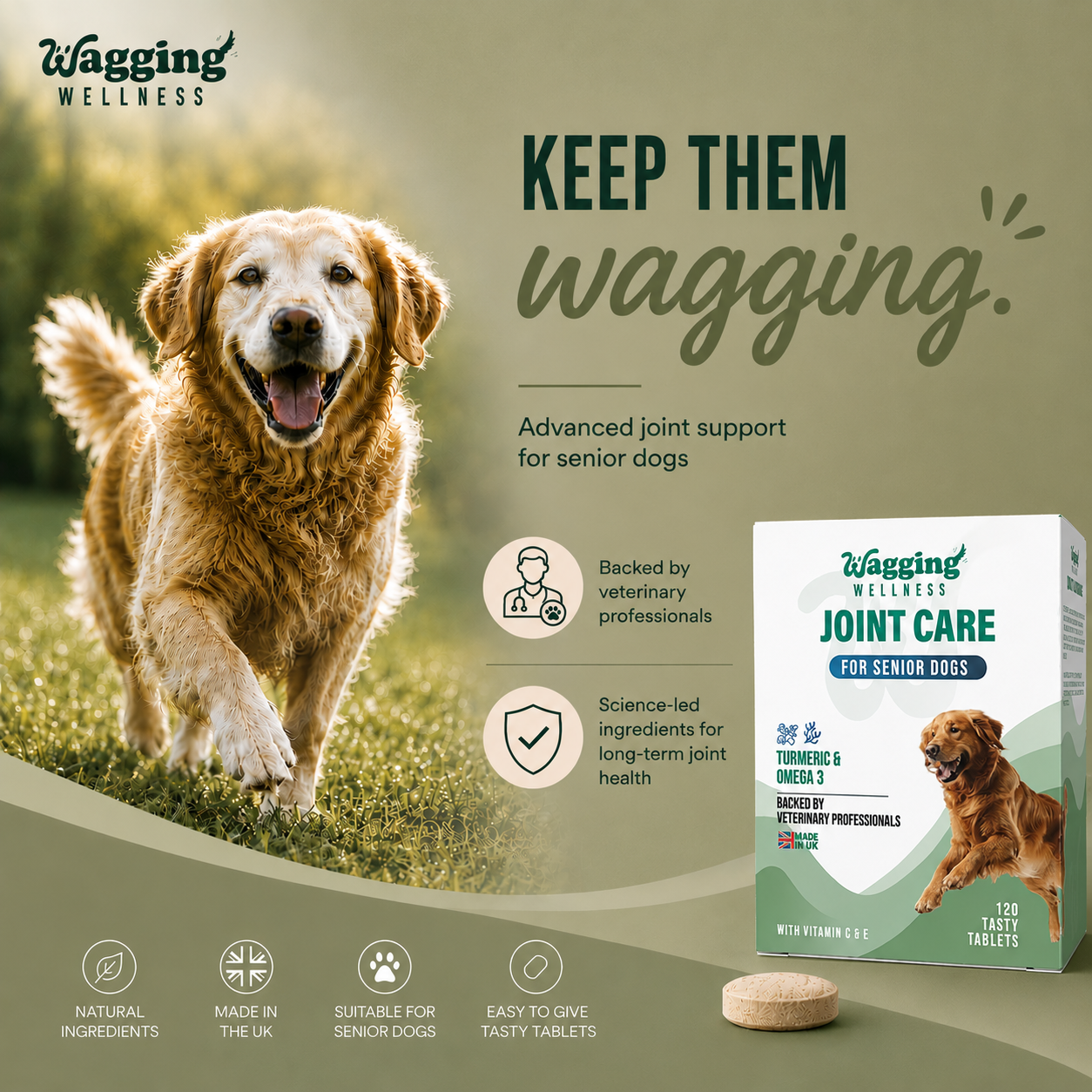 Pro Joint Support for Senior Dogs | Turmeric & Omega 3